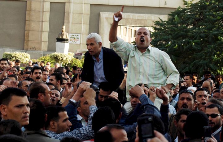 Arab Reform Initiative - The Human Rights Movement and Contentious Politics in Egypt (2004-2014)