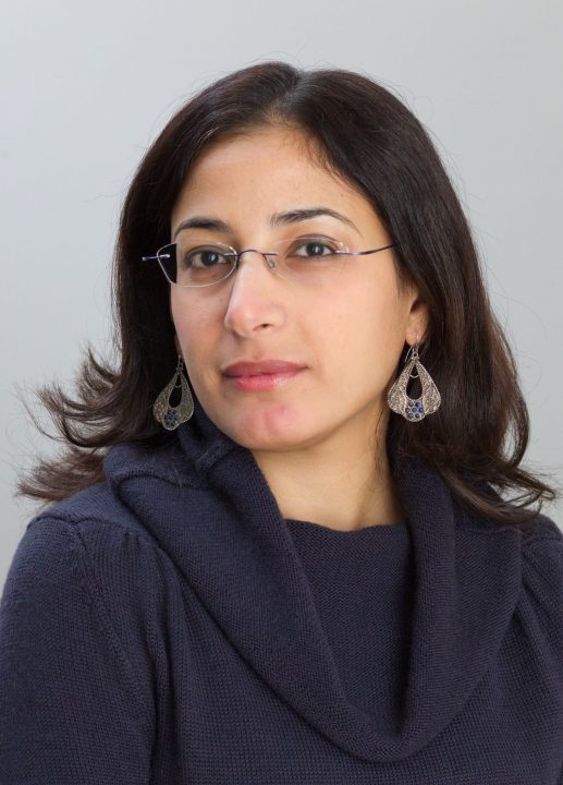 Chérine Chams El-Dine