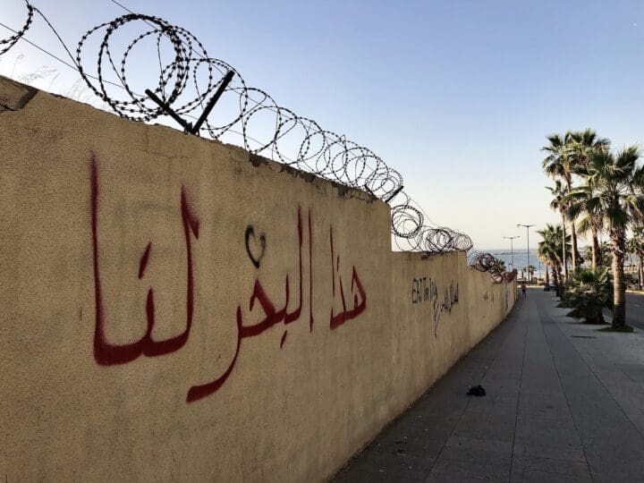 دراسة في نجاحات وإخفاقات التعبئة البيئية في لبنان