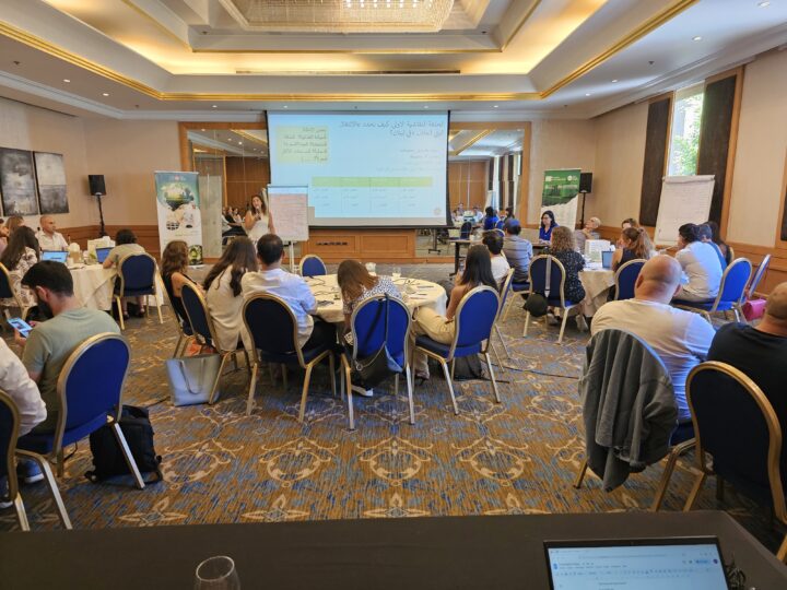 Lebanon Consultation view of the room, with facilitator Maya Atieh in the middle. 12 of July 2023