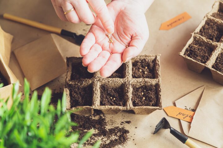 Pathways Towards Food Sovereignty in Lebanon