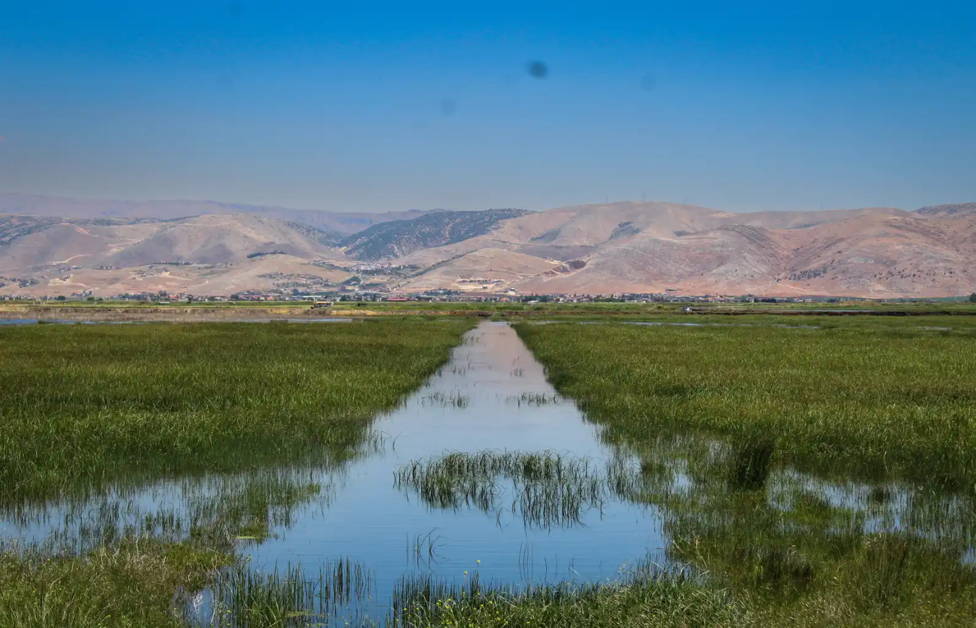 War, Ecocide, and Food Systems in Lebanon: A Conversation with Kanj Hamade